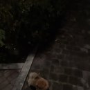 국어이지호