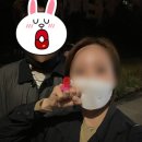 야끼토리지중 이미지