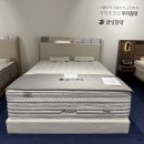 [내돈내산-금성침대] AK플라자 광명점 구매 후기(1탄)(feat. 좋은 침대 구매 팁)