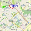 푸른솔 미술 교습소 이미지