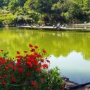 비야골낚시터 이미지