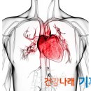 심폐소생술 순서와 자동제세동기(AED) 배우기 이미지