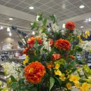 미래Shop가구 이미지