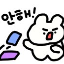 하루필름광주 - 서구 시청로60번길 17-7 | 하루필름광주