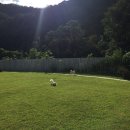 두푸딩하우스 이미지