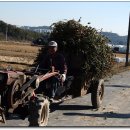 지석리 지석묘 이미지