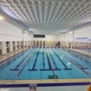 웅천 중앙로 이미지