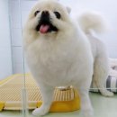 소답동237 이미지