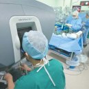 성모카써비스 이미지