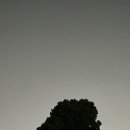 우미정감자탕 이미지