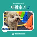 웰케어 동물건강검진센터·동물한방재활센터 이미지