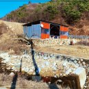 백두농장 이미지