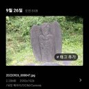 북삼리 석조여래입상 이미지