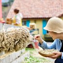 중기목장 이미지