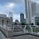 일본 워홀 D+232~246 : 끝 그리고 새로운 시작