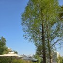 분당노인종합복지관 내 이미지