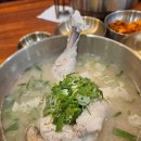 정가칼국수 | 판교 맛집 🍜 정가닭칼국수 솔직후기 | 반마리칼국수·닭곰탕 가성비 끝판왕