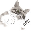 돌덕후