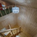 솔레올레 이미지