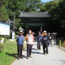 현성한우 이미지