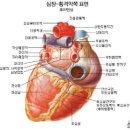 심포 이미지