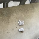 2022 K리그1 서울vs김천 이미지