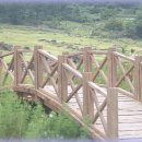 고인돌유적지2 이미지