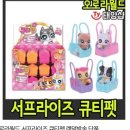 큐티펫 이미지