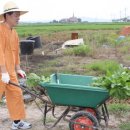 나주한국의원 이미지