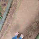 진식목장 이미지