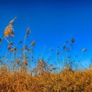 작원관지길 이미지