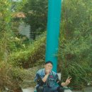 수목원주유소 Daum카페