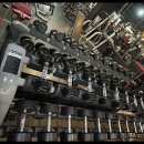 하운드짐 이미지