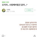 밀크앤치즈 이미지