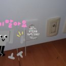 대영전기조명 이미지