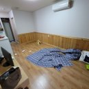 하동코스모스메밀체험민박 이미지