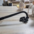 참별거아니지만...(글수정) 이미지