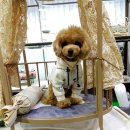 (주)아랑지 이미지