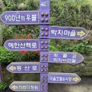 두리기 | 전남 신안 가볼만한 곳 퍼플섬 감성 가득한 섬 여행 후기