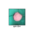 S동물의료센터 이미지