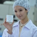 백설공주공원 이미지