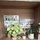주원장밤짜장 | 🌰 [공주 우성면] ‘주원장 밤짜장’ 방문후기