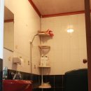 세이백화점 앞 이미지