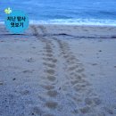 탐여행사 이미지