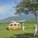 영우목장 이미지