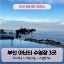 부산 아난티 호텔 (3) - 수영장 3곳 간 후기, 워터하우스, 맥퀸즈풀, 스프링팰리스
