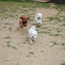 스위트몽 이미지