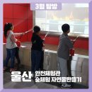 (주)초록배낭 이미지