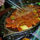 톤키톤키 이미지