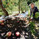 재림농장 이미지